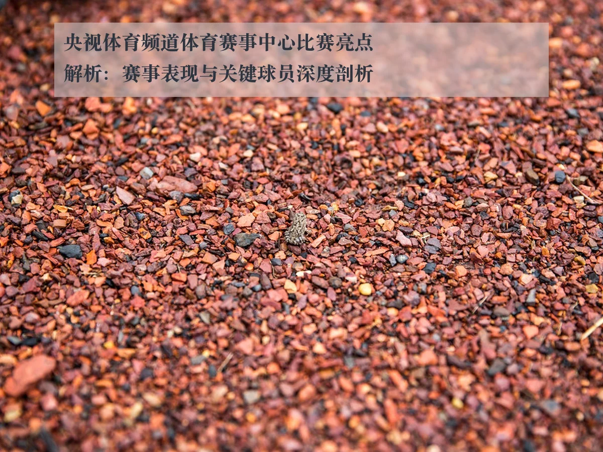 央视体育频道体育赛事中心比赛亮点解析：赛事表现与关键球员深度剖析
