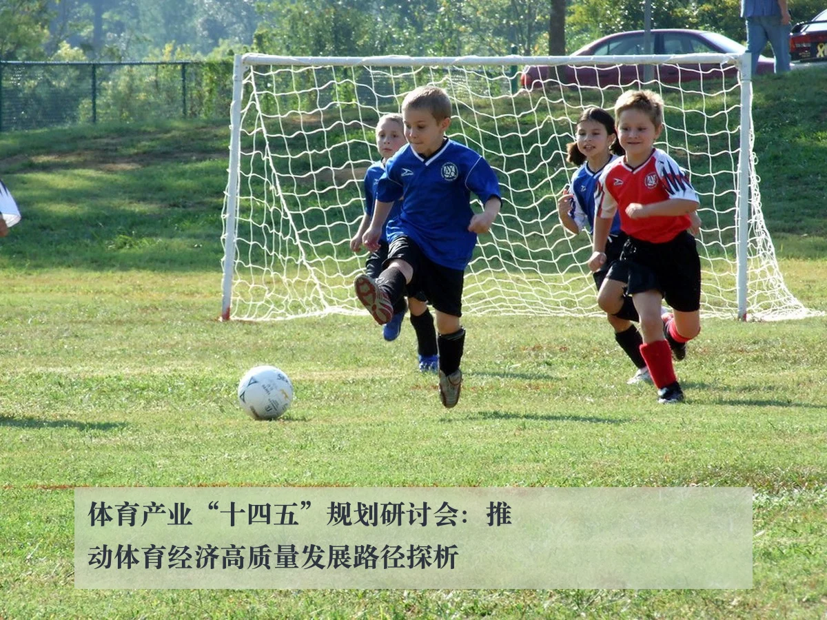 体育产业“十四五”规划研讨会:推动体育经济高质量发展路径探析